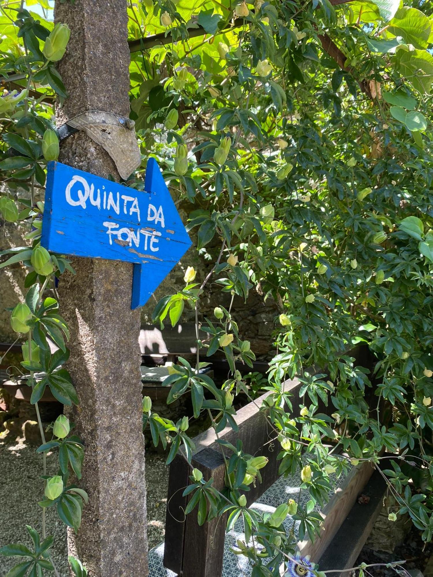 Guest Room Agro-Turismo Quinta Da Fonte Bed&Breakfast Фигейро-душ-Виньюш Экстерьер фото